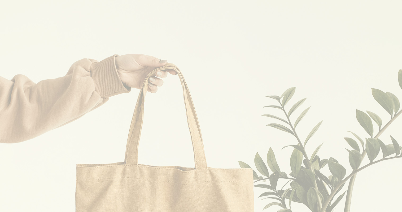 foto ilustrativa de bolsa recicable para encabezado de pagina